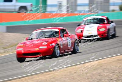 media/May-04-2025-Lucky Dog Racing (Sun) [[21629467aa]]/Turn 4 (10-1045am)/Front/